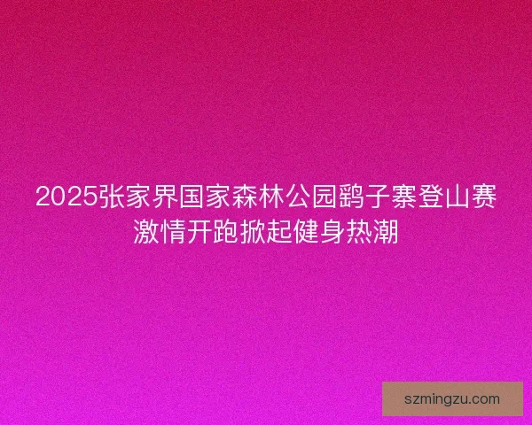 2025张家界国家森林公园鹞子寨登山赛激情开跑掀起健身热潮
